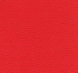 beermat drink coaster isolated over white