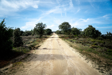 dirt road in the mountains