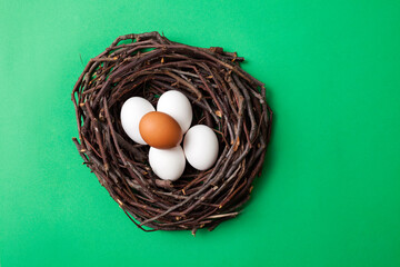 Bird nest with eggs isolated on green box background, top view, for copy space and product placement.