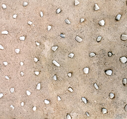 Fototapeta na wymiar texture of stones sticking out of their concrete pouring