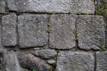 The texture of an ancient stone wall with growing greenery.