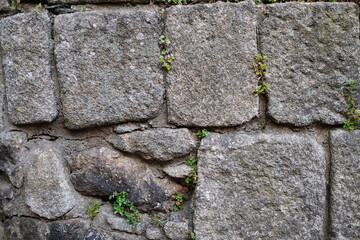 Texture of an ancient stone wall.