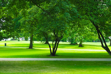 Fototapeta premium Alster lake and Alsterpark in Hamburg, Germany. Place for walking