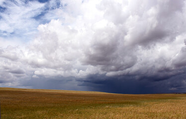 Fototapeta na wymiar Dynamic cloudy blue skies over grassy fields and calm water in central Montana
