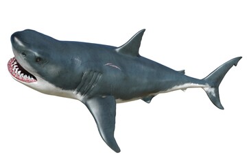Shark isolated on white background 3d illustration