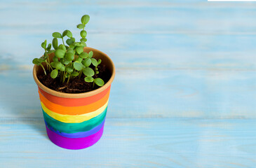 Multi colored drawing by paints. potted rainbow, young sprouts, colorful flower.Multi-colored drawing by paints. bright card.Equality betwee. LGBT concept. lesbian gay , bisexual transsexual