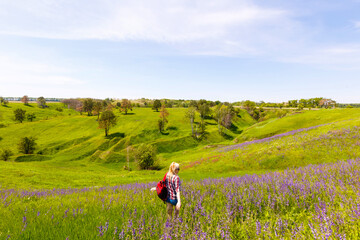 Naklejka premium Happy adventurer female stands on the green mountain slope among flowering pink rhododendrons and looking into the distance. Epic travel in the mountains. Wide angle.