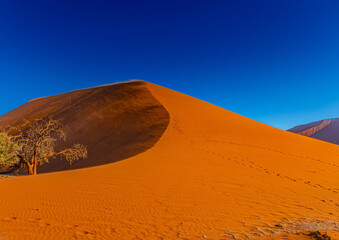 The world famous dune 45 in the Sossusvlei of the Namib Desert in Namibia