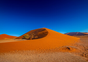 Fototapeta na wymiar The world famous dune 45 in the Sossusvlei of the Namib Desert in Namibia