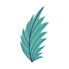 Fototapeta na wymiar leaf palm foliage nature isolated design icon