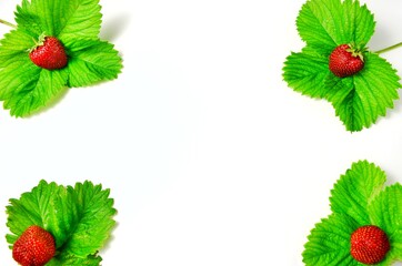 strawberry frame isolated on white