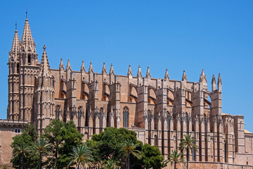Magnificent cathedral in Palma