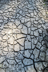 dry cracked earth