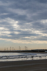 飛び立つ鳥と海の風景