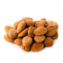 apricot kernel isolated on white background