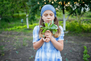 The girl holds in her hands seedlings of cabbage. She is engaged in garden work. Ecological gardening and horticulture.