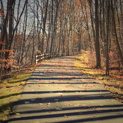 Fall scene of a walking / biking trail covered with fallen leaves.  North County Trail in Westchester, New York, USA.