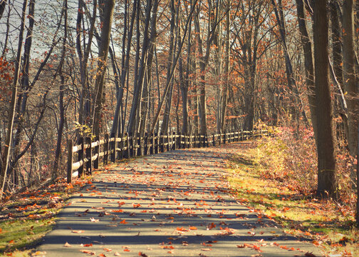 A walking / biking trail covered with fallen leaves. North County Trail in Westchester, New York, USA during fall.