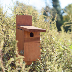 Wooden bird house surrounded in greenery.