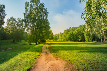Wet road in summer park after rain