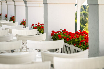 Geranium Flowers Balcony Restaurant