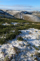 Tundra landscape Top of the World Highway Alaska