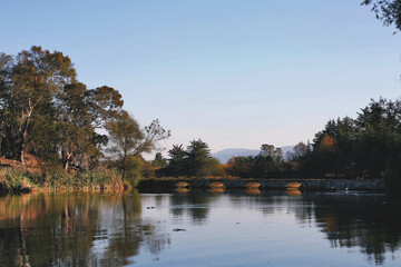 Pond with bridge, Hidalgo.