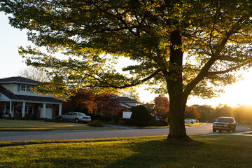 normal split level home neighborhood during sunset with tree light by sunshine in the front yard with street view of American development 