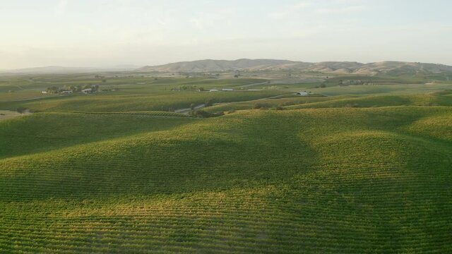 Aerial panning shot of agricultural field near mountains against sky, drone flying over vineyard during sunset - Paso Robles, California