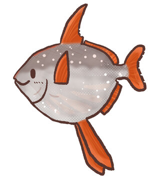 R:メルヘンな水族館 アカマンボウ ２