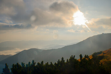 Obraz premium Beautiful sunset view of landscape of mountains, forest and meadows in the Carpathians in sunny cloudy weather