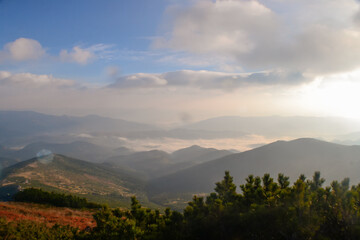 Fototapeta premium Beautiful sunset view of landscape of mountains, forest and meadows in the Carpathians in sunny cloudy weather