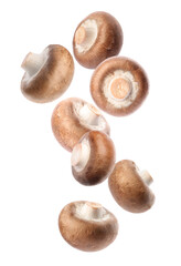 Set with fresh champignon mushrooms falling on white background