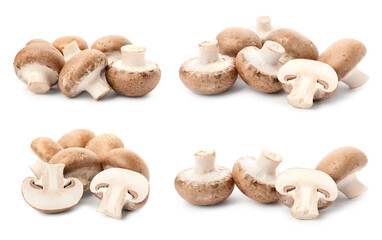 Set with fresh champignon mushrooms on white background