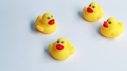 Small ducks yellow made from plastic for children, has a sound for baby playing in bathtub. Funny toy for development the kids. Learning and listening for kid concept isolated in white background.