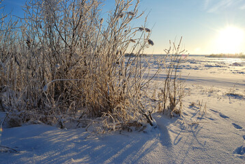 Evening on the Irtysh River, Omsk region, Siberia, Russia