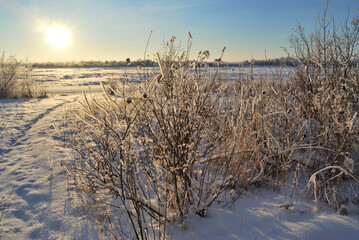 Evening on the Irtysh River, Omsk region, Siberia, Russia