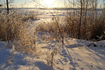 Evening on the Irtysh River, Omsk region, Siberia, Russia