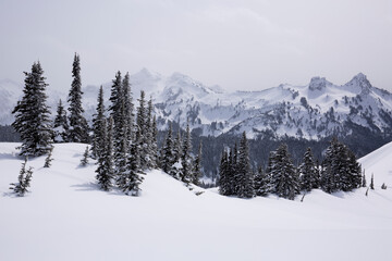 Fototapeta na wymiar Wintry scene at Paradise, Mt. Rainier National Park in Washington state 