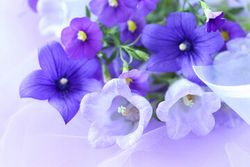 Fototapeta na wymiar キキョウ、カンパニュラ、サフィニアの紫色の花束