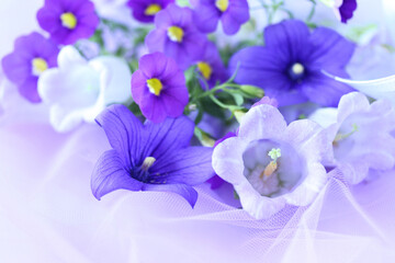 Fototapeta na wymiar キキョウ、カンパニュラ、サフィニアの紫色の花束
