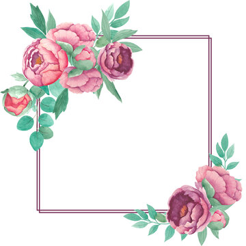 Watercolor square frame peony flowers leaves branches of eucalypt isolated on white background. Hand drawn. Arrangement perfectly for spa relax holiday. Printing design on invitations cards and other.