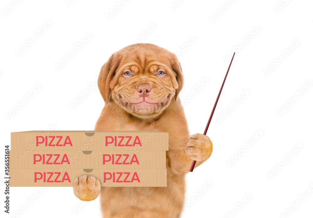 Poster Smiling pizza delivery puppy holds pizza boxes and points away on empty space. isolated on white background