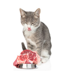Satisfied cat licks lips before eating raw meat. isolated on white background