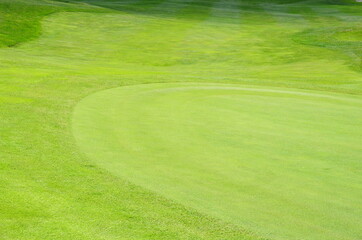 Fototapeta premium golf course green grass background