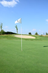 golf flag on green grass