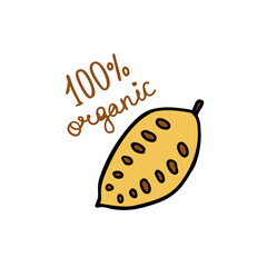 cocoa bean doodle icon, vector illustration