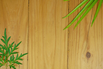 tropical plant leaves upper frame on wooden vintage background