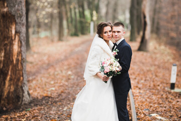 Romantic wedding moment, couple of newlyweds smiling portrait, bride and groom hugging