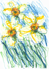Fototapeta na wymiar sketch of daffodils flowers drawn with colored markers